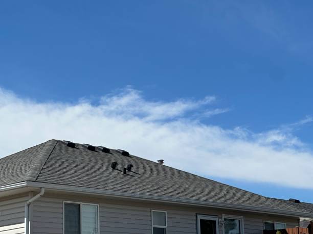 Fast & Reliable Emergency Roof Repairs in Afton, MN